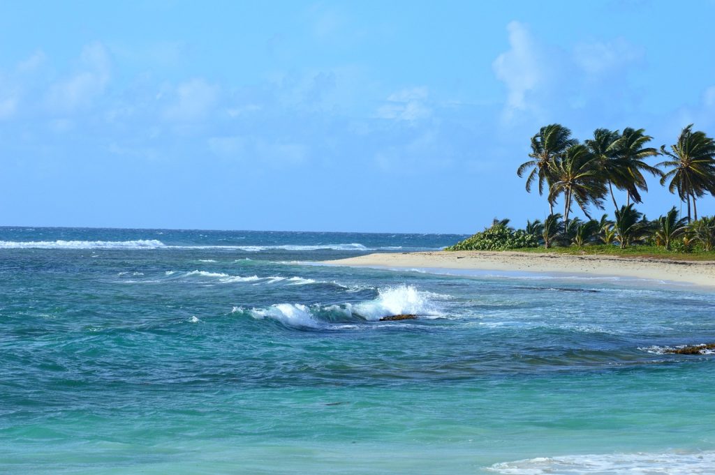 découvrez la beauté envoûtante de la guadeloupe, une destination paradisiaque qui allie plages de sable fin, paysages luxuriants et culture créole vibrante. explorez ses richesses naturelles et ses activités variées, pour des vacances inoubliables dans les caraïbes.