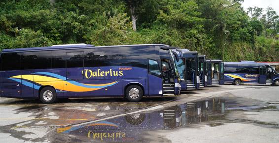 découvrez les différents moyens de transport en guadeloupe pour explorer cette île paradisiaque. que ce soit en voiture, en bus, en vélo ou en bateau, trouvez toutes les informations nécessaires pour planifier vos déplacements et profiter pleinement de votre séjour.