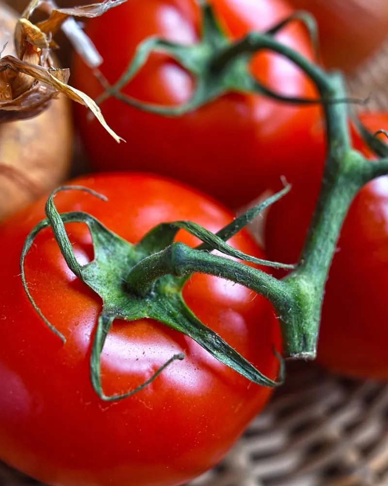 Découverte des saveurs de la cuisine antillaise