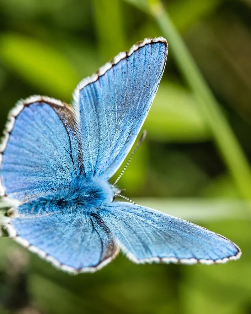 La nature : un trésor de biodiversité à préserver