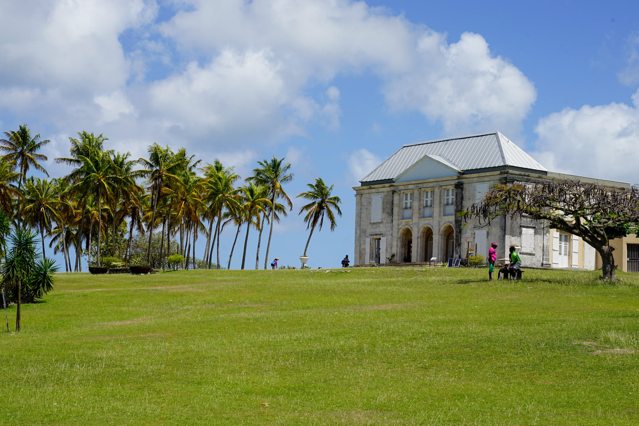 découvrez les merveilles de marie-galante : ses plages de sable fin, ses paysages enchanteurs et sa culture vibrant au rythme des traditions. profitez d'un séjour inoubliable au cœur des caraïbes, entre nature préservée et gastronomie locale.