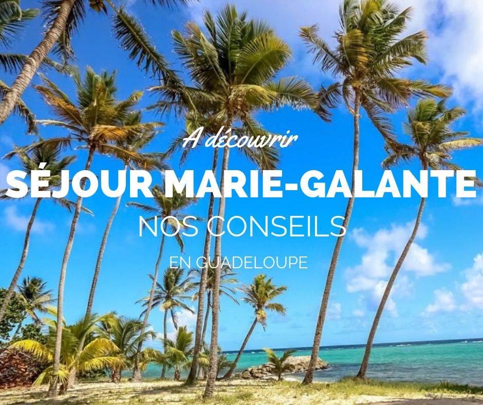 découvrez marie-galante, une île paradisiaque des caraïbes, idéale pour un séjour inoubliable. profitez de ses plages de sable fin, de ses paysages verdoyants et de sa culture créole authentique. parfait pour les amoureux de la nature et les amateurs de détente.