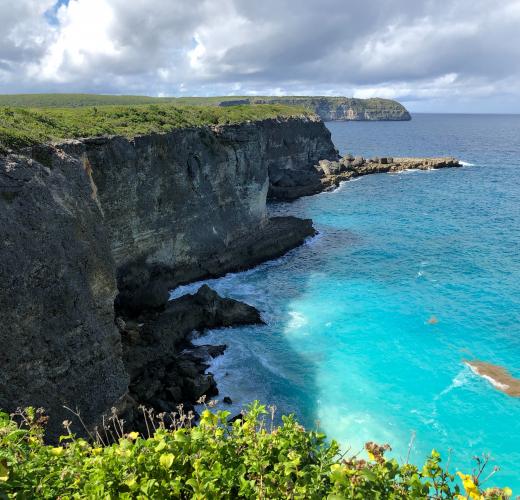 découvrez les meilleures offres d'hébergement de dernière minute en guadeloupe. profitez de tarifs réduits sur des hôtels, des locations de vacances et des séjours de rêve dans ce paradis tropical. ne manquez pas votre chance de vous évader au soleil !
