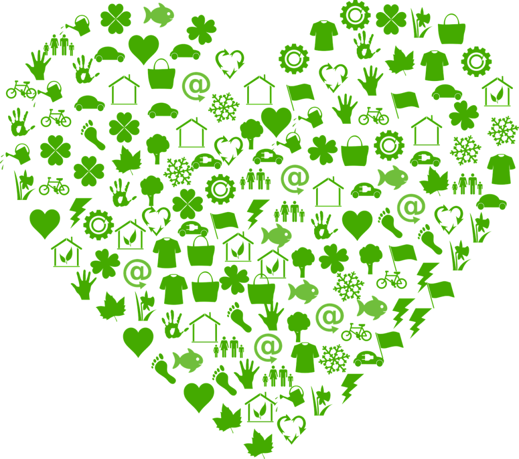 découvrez des astuces et conseils pour créer un jardin durable qui respecte l'environnement. apprenez à cultiver des plantes écoresponsables, à gérer l'eau de manière intelligente et à favoriser la biodiversité tout en embellissant votre espace extérieur.